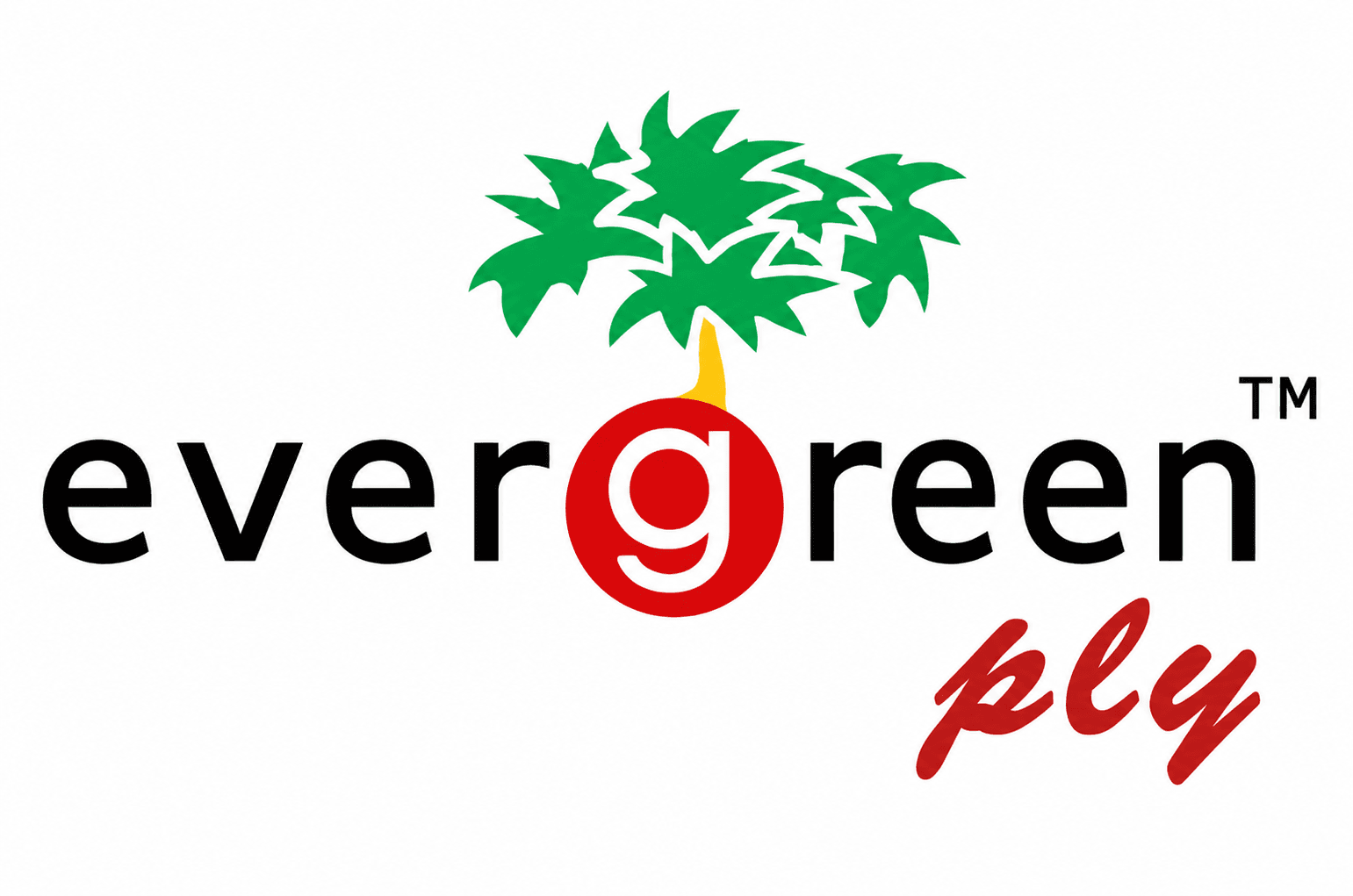 evergreen-ply logo